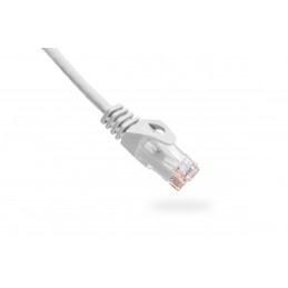 094-802/1WH CAT6 1ft White,...