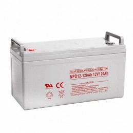 AR-NP120-12 Battery