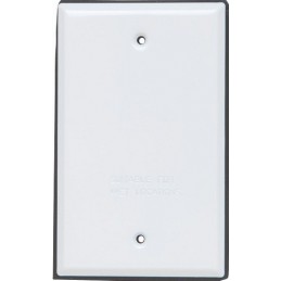 DC-01W  Blind cover 2x4...