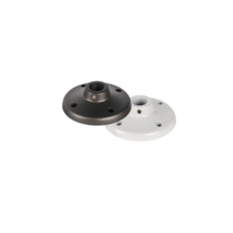B2-1-G Ceiling Small dome...
