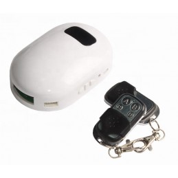 Rolling Door Remote control...
