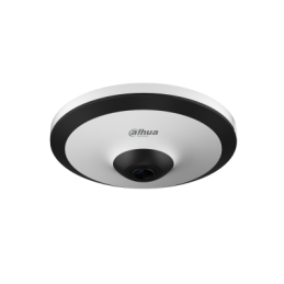 IPC-EW5531-AS 5MP Panoramic...