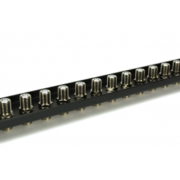 1U-24 Port F Connector,...