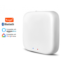 Gateway Wifi Tuya Smart lock