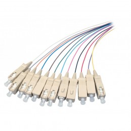 Fiber 12 Pigtail SC M/M 50/OM3