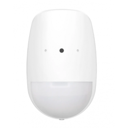 DS-PDPG12P-EG2-WB Wireless...