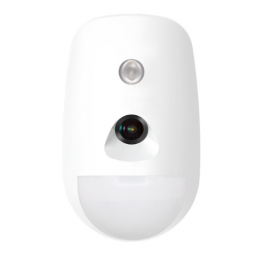 DS-PDPC12P-EG2 Wired PIRCAM...