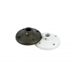 B2-1-G Ceiling Small dome...